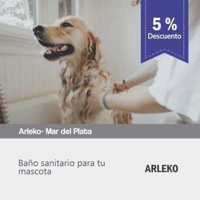 arleko-3-768x768
