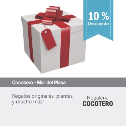 cocotero1-768×768 cocotero1-768x768